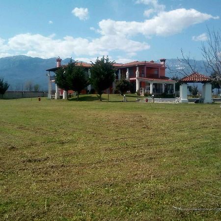 Ligaria  Αρχοντικό Παπανικολάου 빌라 외부 사진